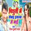 About Pichuti Me Robai Song